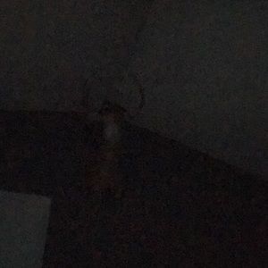 Meet your Posher, Jeff